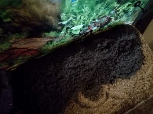 IMG 20160930 182843m