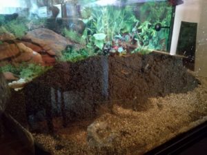 IMG 20160930 182853m
