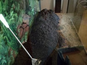 IMG 20160930 182902m