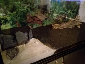 IMG 20160930 211108m