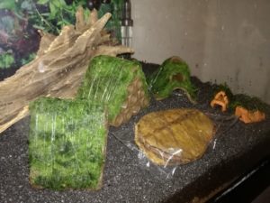 IMG 20160930 213046m