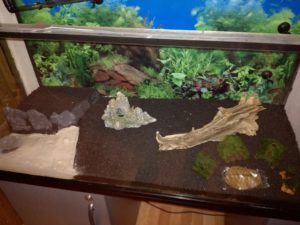 IMG 20160930 213100m