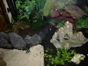 IMG 20161001 164749m