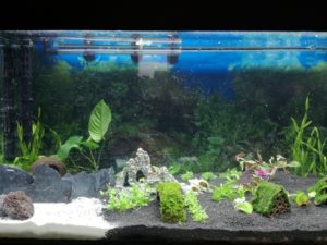 IMG 20161001 175812m