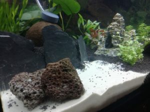 IMG 20161003 172400m