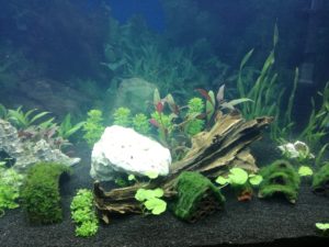 IMG 20161004 200628m