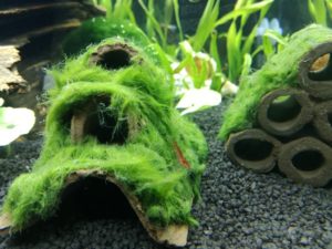IMG 20161007 181058m