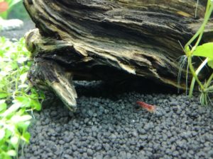 IMG 20161007 181106m