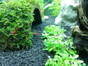 IMG 20161007 183651m