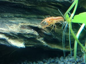 IMG 20161007 192621m