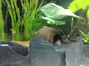 IMG 20161008 193349m