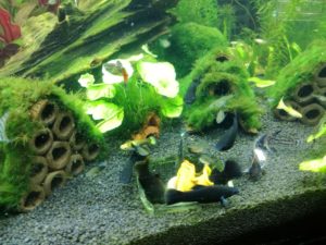 IMG 20161025 203636m
