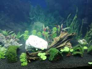 IMG 20161004 200628