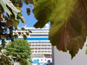 IMG 20210715 143018 1